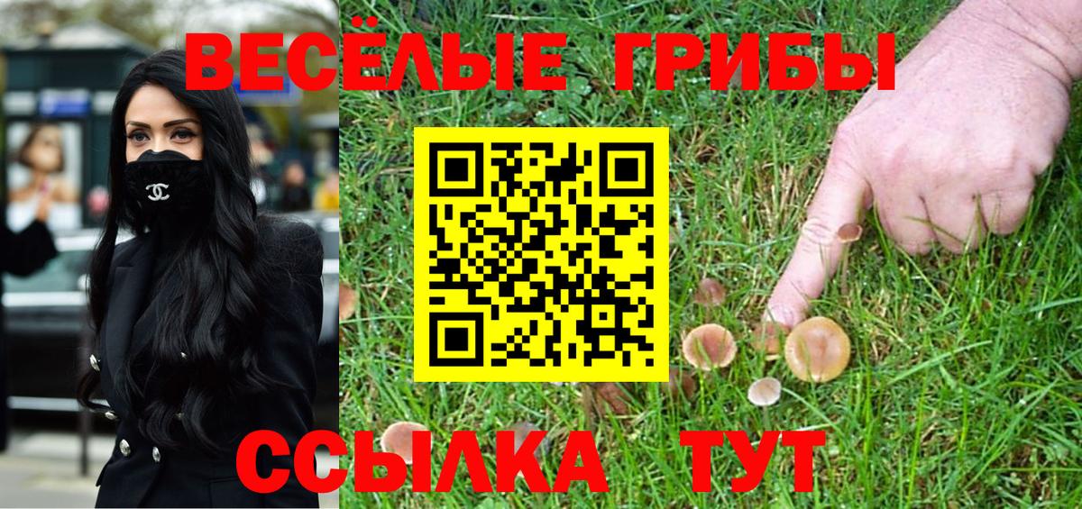 Ярославль  где продают наркотики  Псилоцибиновые грибы мицелий  Вход с VPN  Галлюциногенные грибы мухоморы 